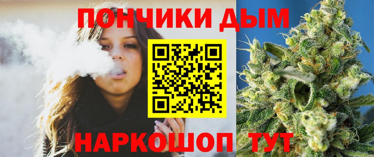 Конопля план  Каннабис сатива  Вход с VPN  Нижний Тагил 